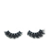 Sassy Lash