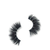 Sassy Lash